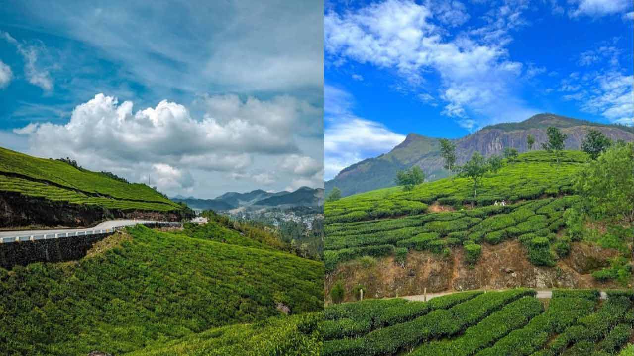 Munnar best places to visit in kerala