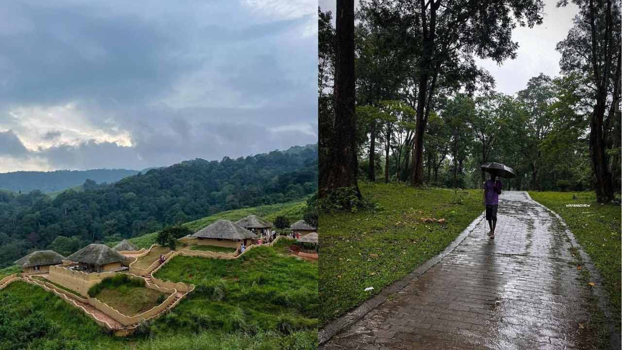 Best place to visit in kerala: Wayanad